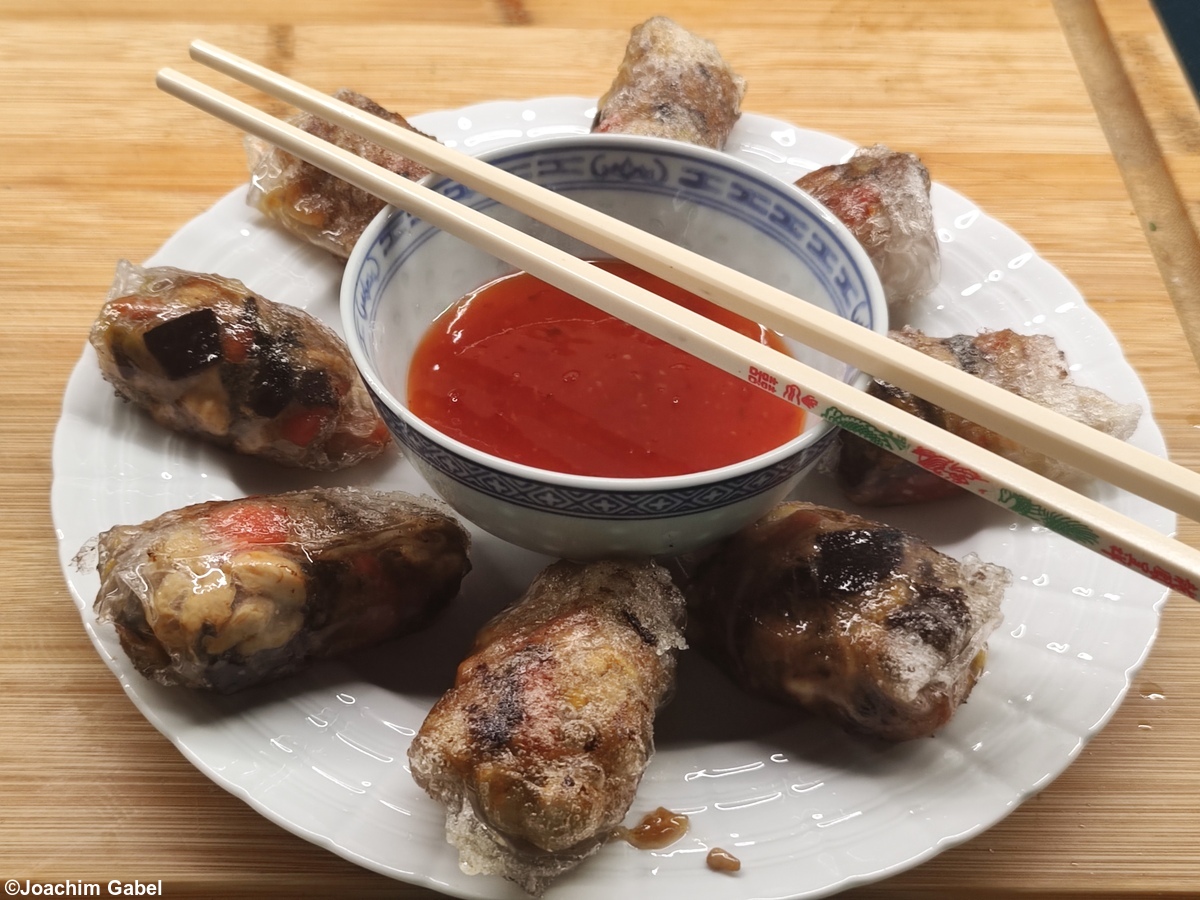 Spring rolls – Frühlingsrollen